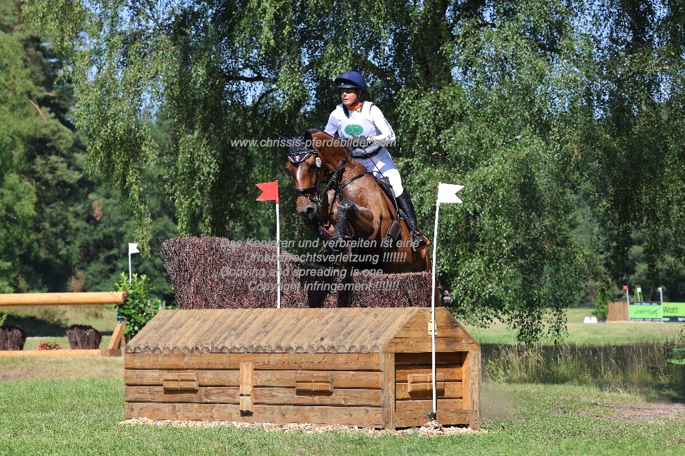 Preview willemina van der goes petter mit lancelot IMG_0361.jpg